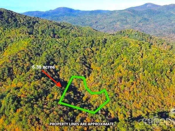 14 Johnny Farm Rd, Black Mountain, NC 28711