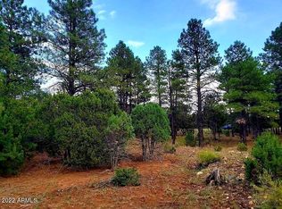 2974 Lookout Ln #287, Overgaard, AZ 85933