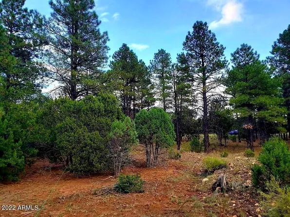 2974 LOOKOUT Lane #287, Overgaard, AZ 85933