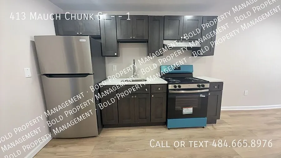 413 Mauch Chunk St #1