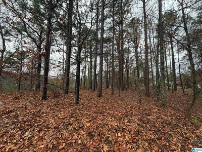 7813 Barbara Dr #40, Mc Calla, AL, 35111