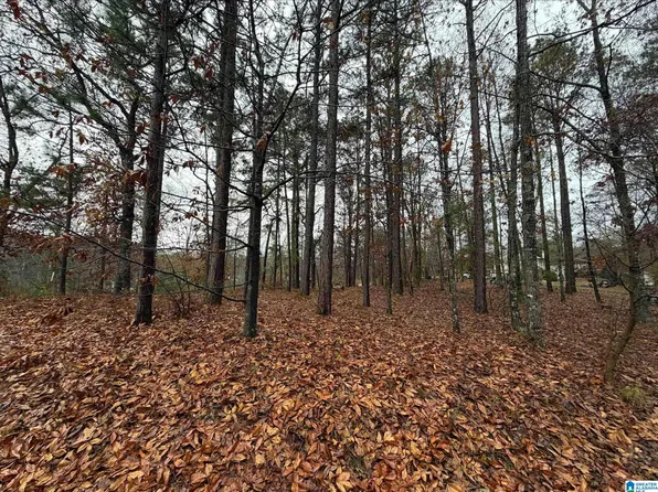 7813 Barbara Dr #40, Mc Calla, AL 35111