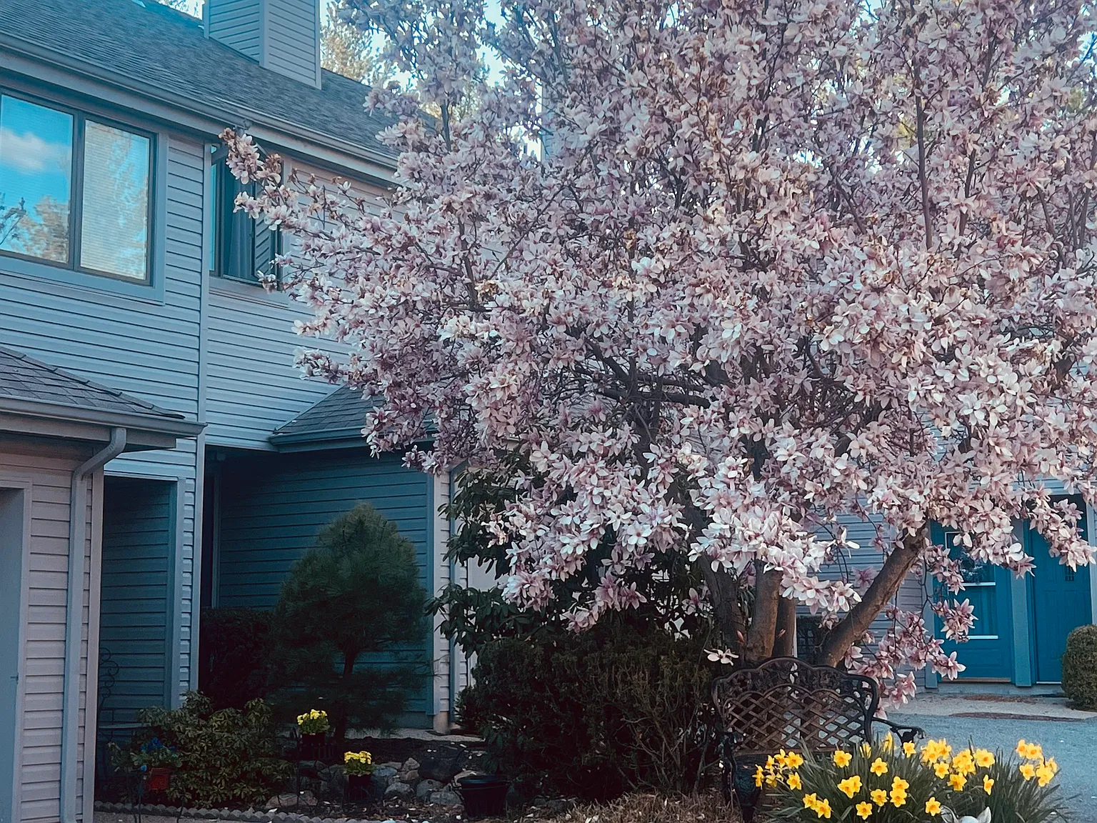 2 bed, 1.5 bath, 1626 sqft, $3,200 — Photo 3