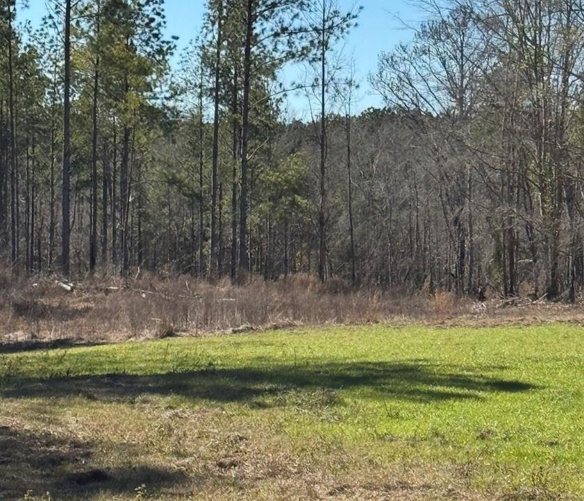 1st image of 0 County Road 6650