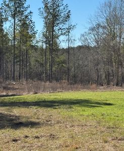 0 County Road 6650, Brundidge, AL, 36010