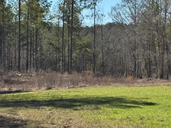 0 County Road 6650, Brundidge, AL 36010