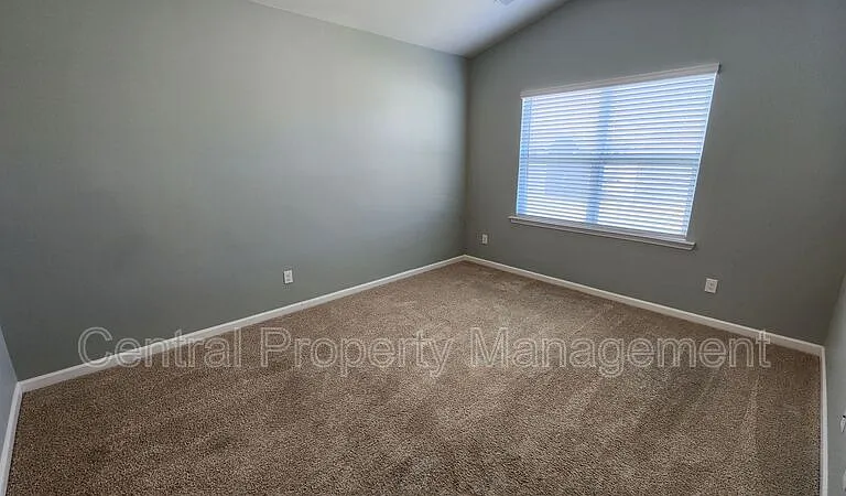 731 Liberty Walk Ln — Photo 21