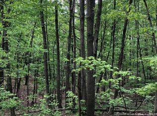 Clark Rd, Basye, VA 22810