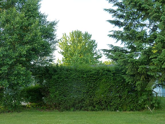 Front shaded with trees