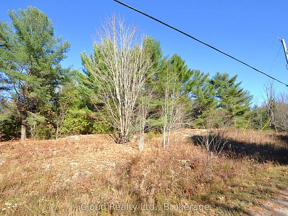 3rd image of 2 Parker Bay Rd #3