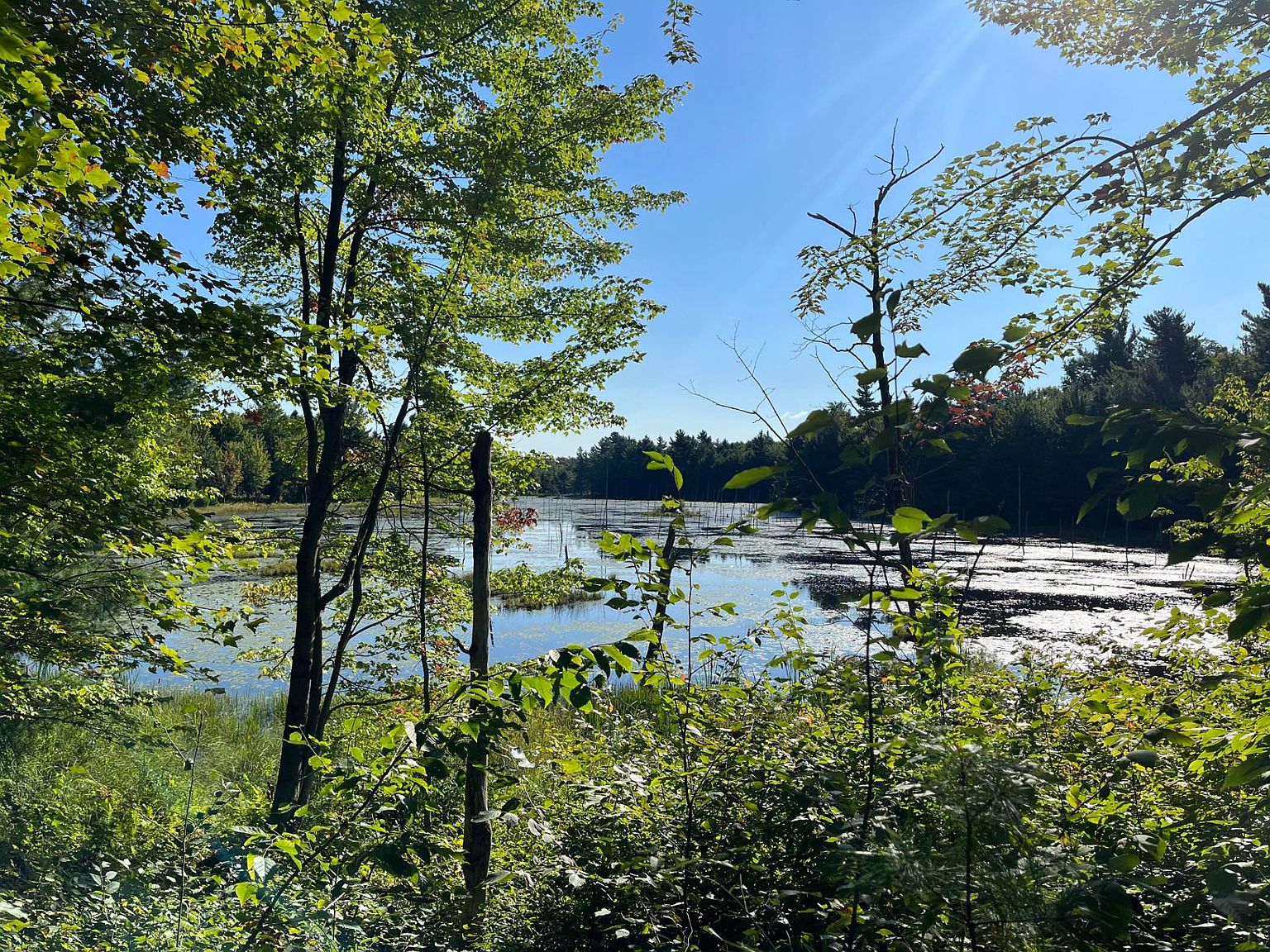 0 Campbell Rd, Hermon, NY 13652 MLS 11203546 Zillow