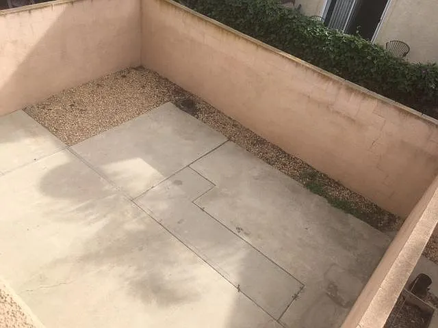 Back yard