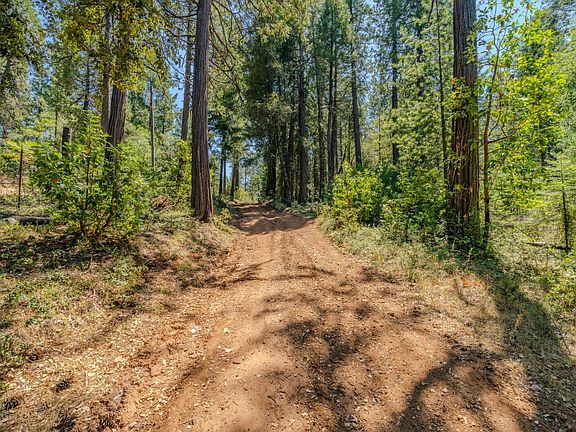 3rd image of Gold Creek Trl