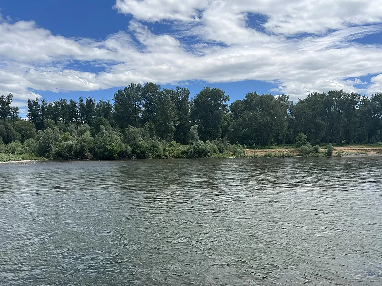8401 Riverbanks Rd — Photo 31