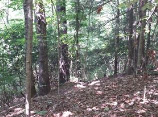 3 Ac Off Cashes Valley, Blue Ridge, GA 30513