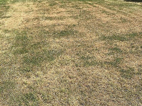 2nd image of 0 11th St