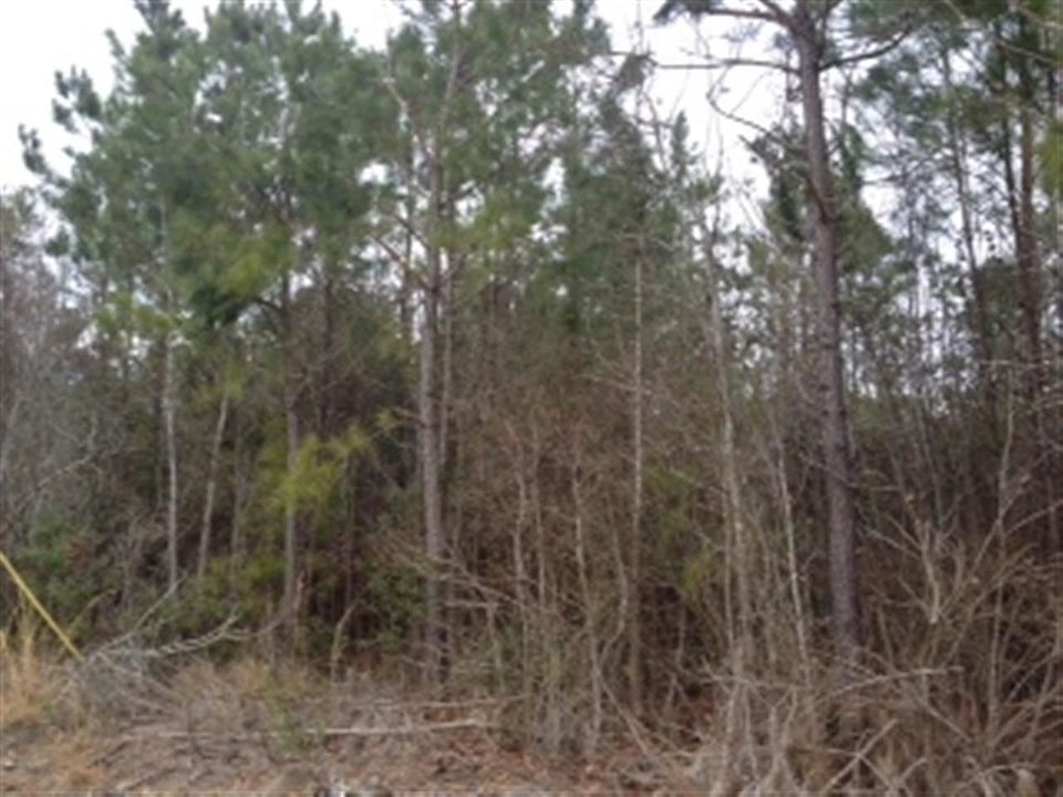 1st image of ooo Onslow Pines Road