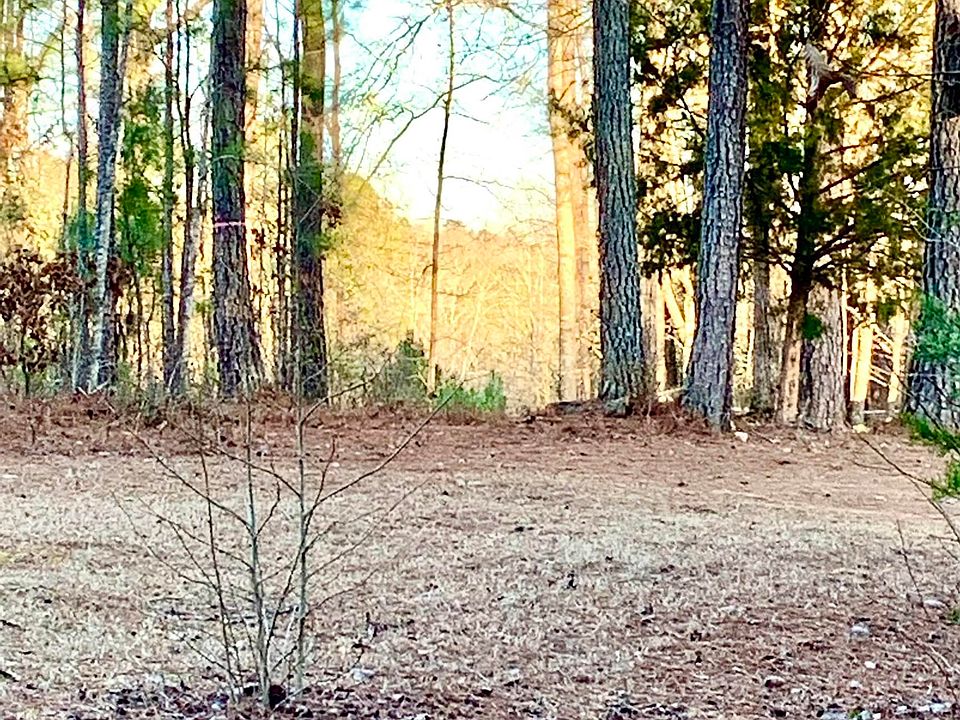 1480 Montpelier Rd, Forsyth, GA 31029 MLS 230700 Zillow