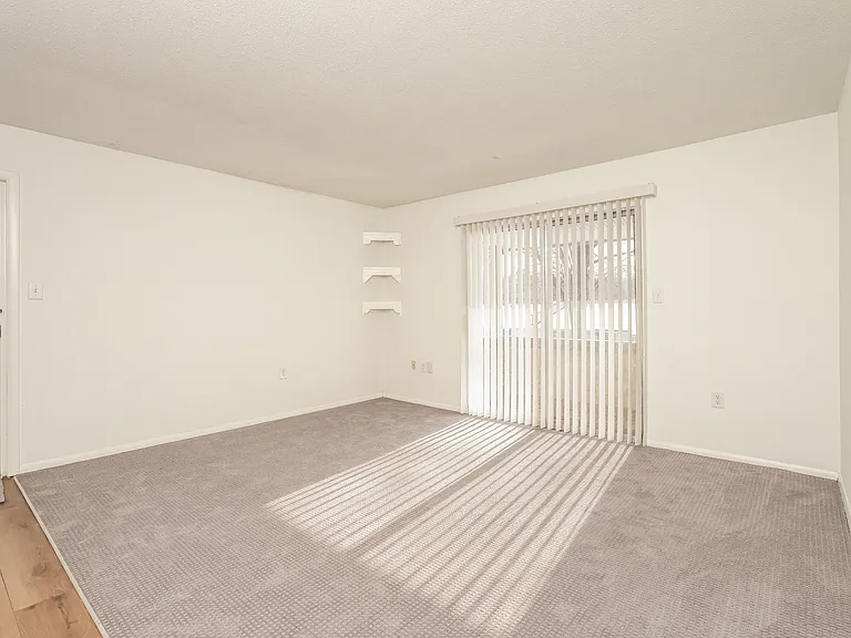 2205 Sunderland Rd #115D — Photo 4