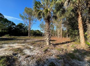LOT 20 Paradise Lakes Ave LOT 21, Georgetown, FL 32139