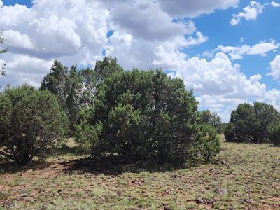 687B W Medicine Man Trl, Seligman, AZ, 86337