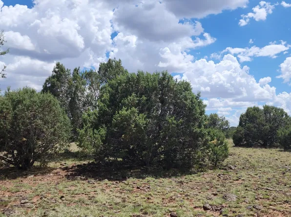 687B W Medicine Man Trl, Seligman, AZ 86337