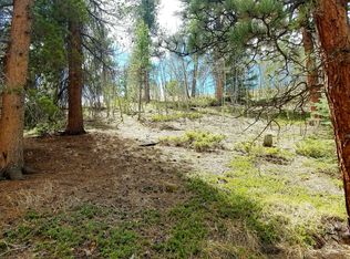 271 Brown St, Bailey, CO 80421