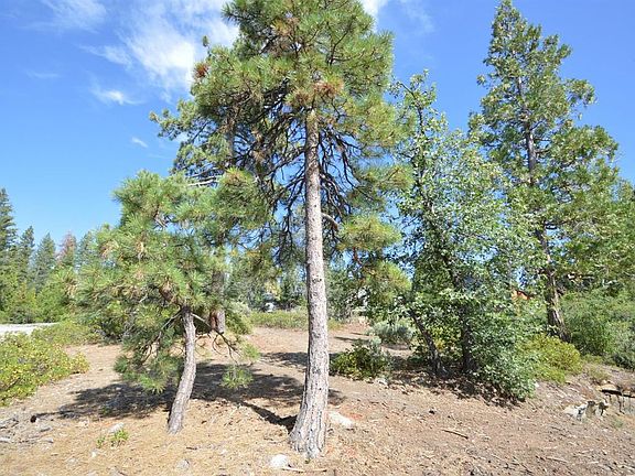 4th image of 40903 Crest Vista Ln