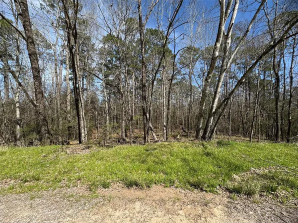 0 Saddle Surrey Rd Lot 46, Coldspring, TX 77331