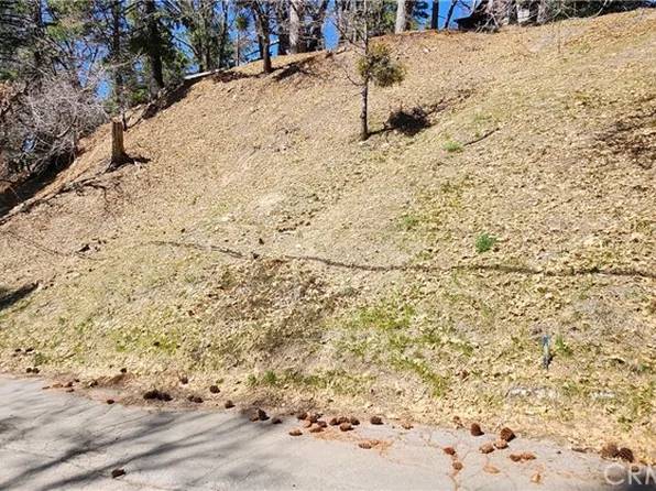 0 Preston Dr #20, Running Springs, CA 92382