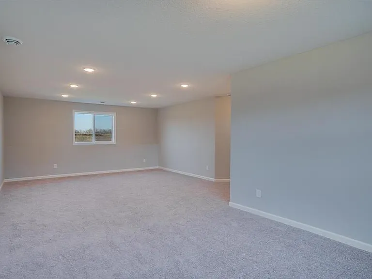 Light and bright finished lower level