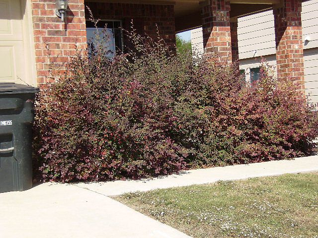 1st image of 196 Onyx Lake Dr
