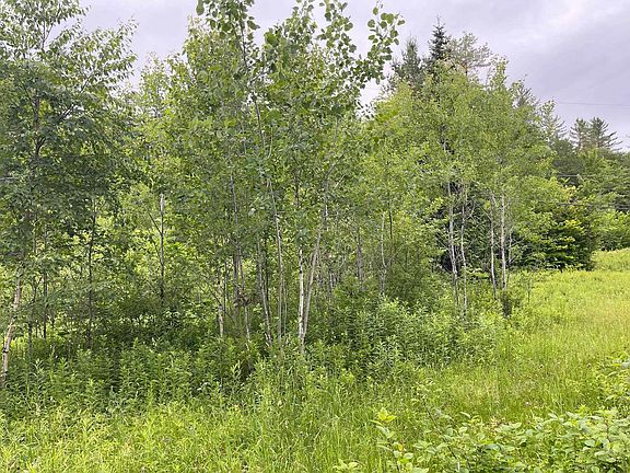 5th image of 4769 Pikes Falls Road