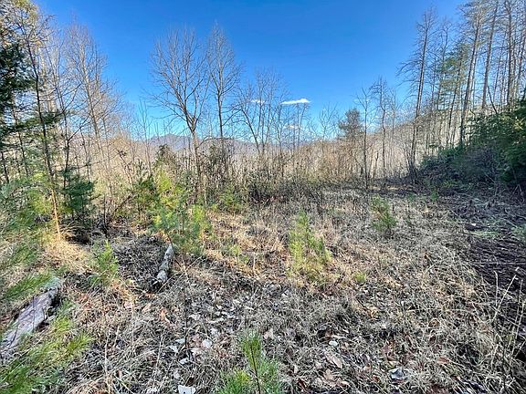 2nd image of LOT 9&12 Torwood Ln