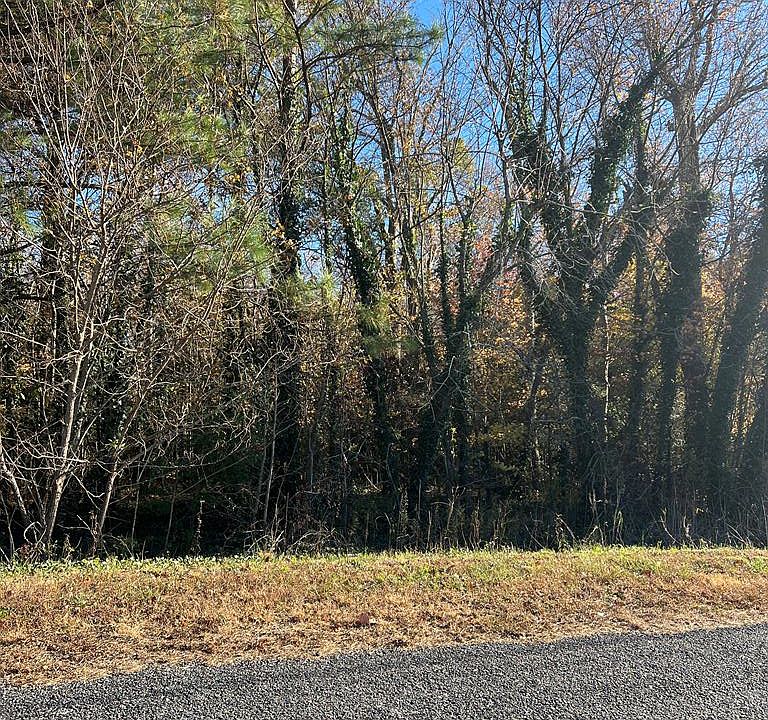 2nd image of LOT-42C E Harbor Dr