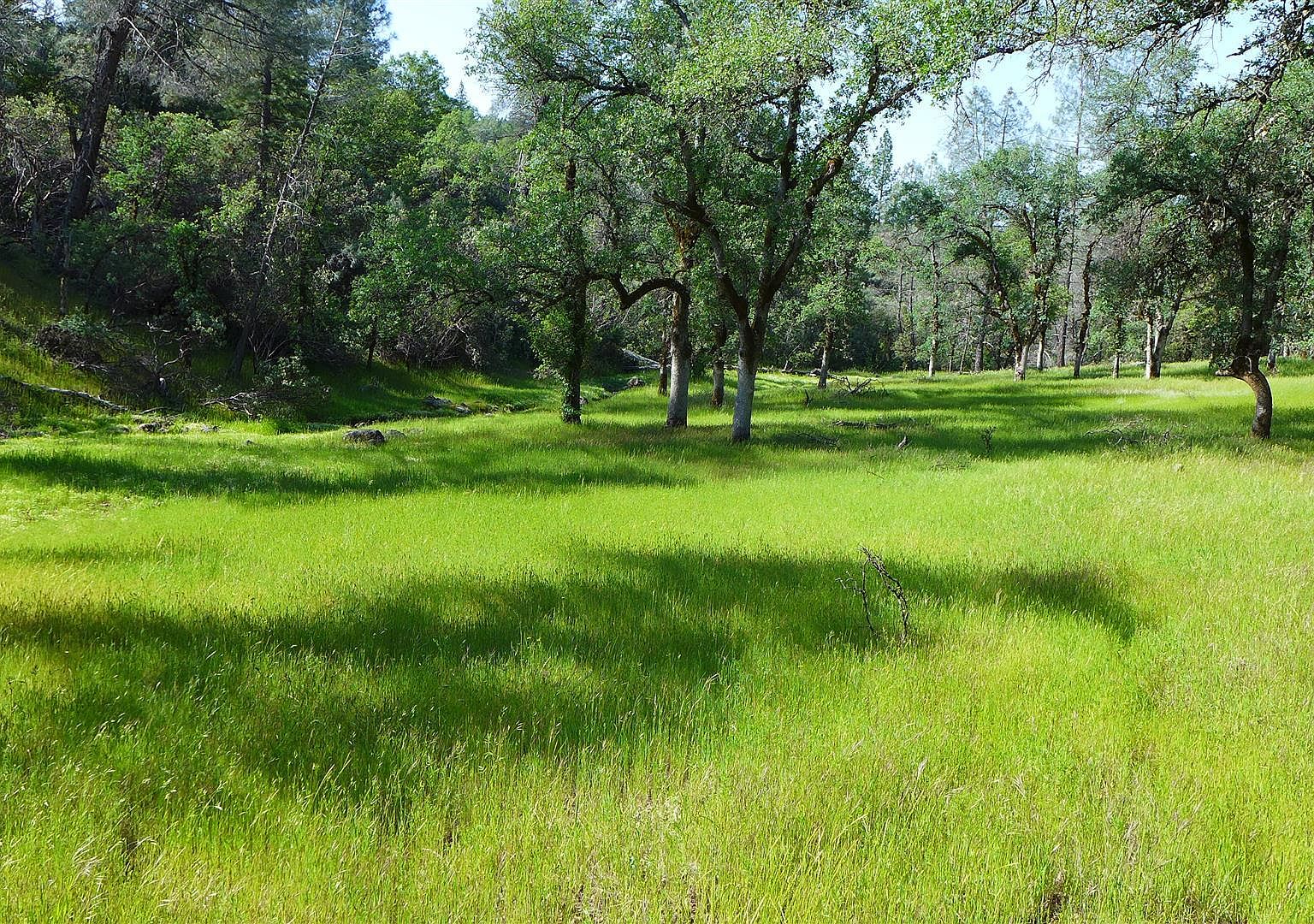 158-backbone-rd-bella-vista-ca-96008-zillow