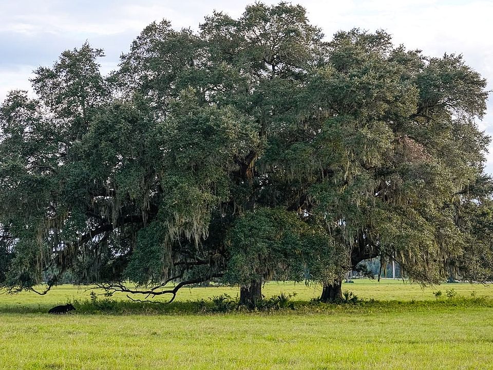 Hwy 44 I 75 358 Acres 16