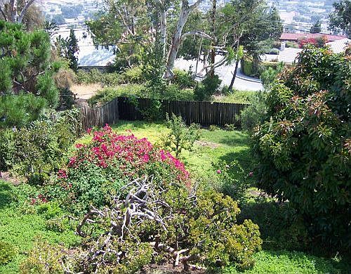 Huge back yard