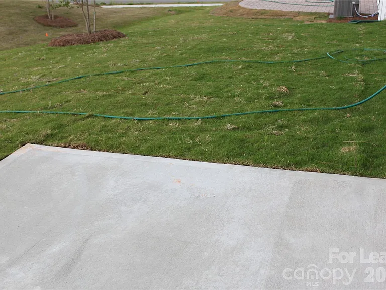 12008 Virginia Pine Ln — Photo 24