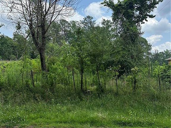 2nd image of 559 Burma Rd