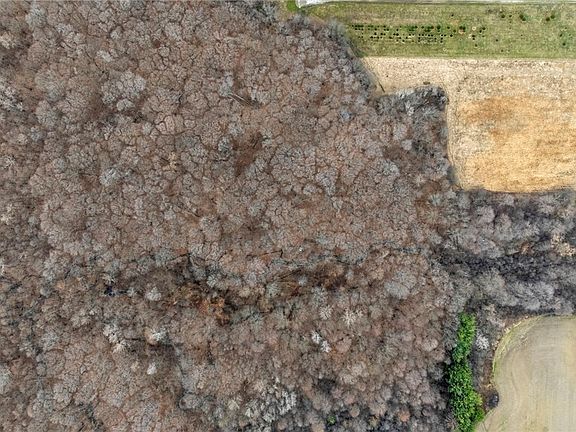 4th image of Nichols Rd