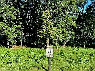 2nd image of 1289 Black Cove Ln Lot 15