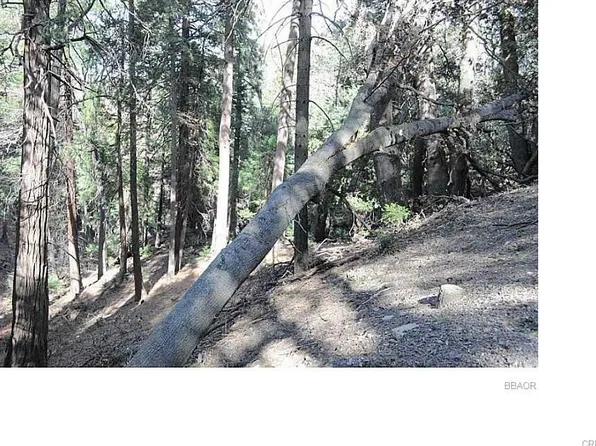 0 Mojave River Rd, Cedarpines Park, CA 92322