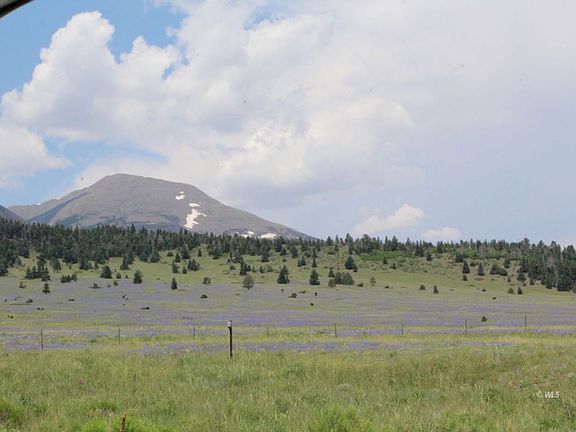 5th image of 1255 County Road 172