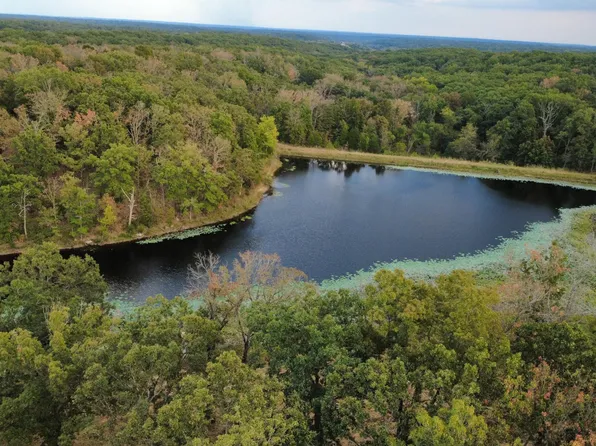 Tbd County Road 427 #Xxx, Cross Timbers, MO 65634