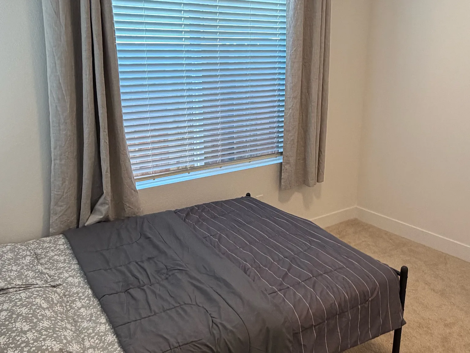1 bed, 340 sqft, $1,600 — Photo 4