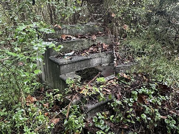 4th image of 1662 Lewis Creek Rd