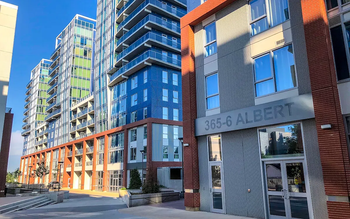365 Albert Inc. — Photo 2