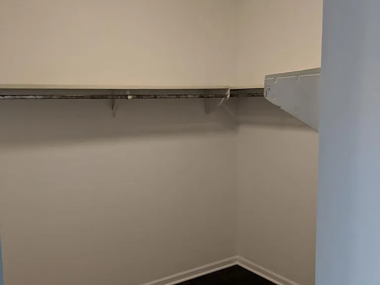Master bedroom wall-in closet