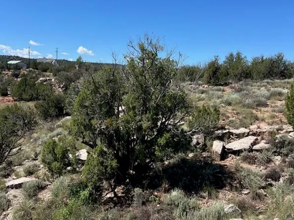 2682 Old School House Rd, Show Low, AZ 85901